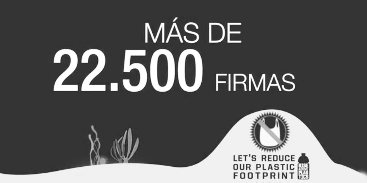 campamento de surf campamento de verano en berria