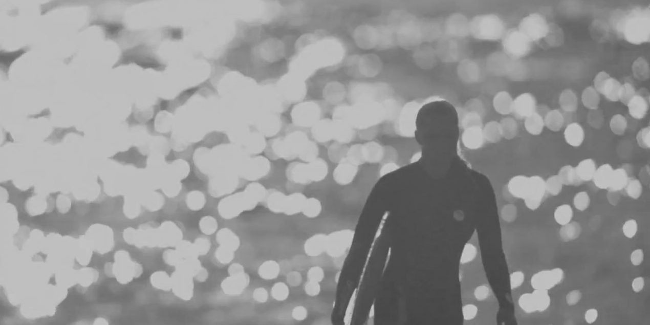 escuela de surf en berria georgia fish