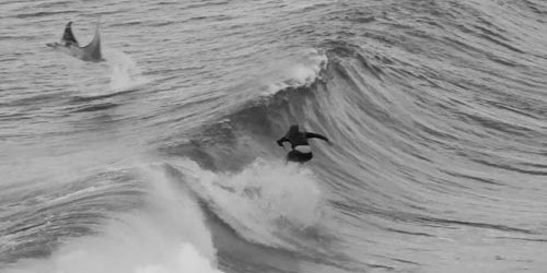 escuelas de surf en cantabria bali ozzy wrong