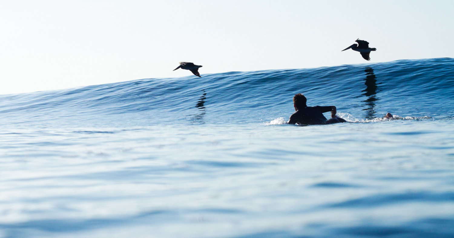 malibu-surf-longboards