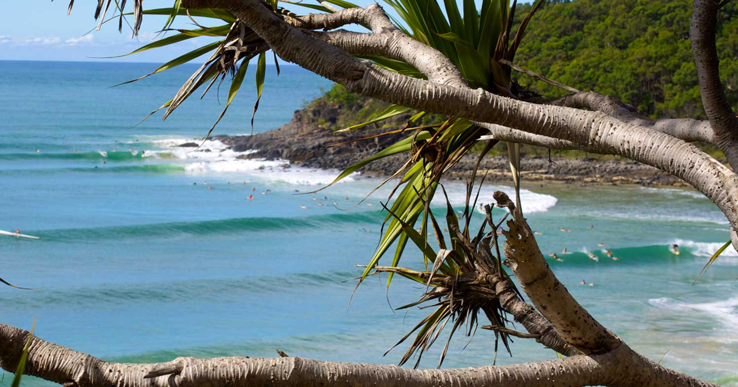 noosa-surf-watsay