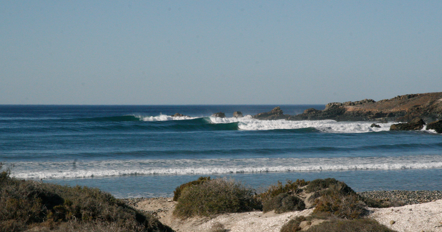 scorpion-bay-surf-watsay - longboard