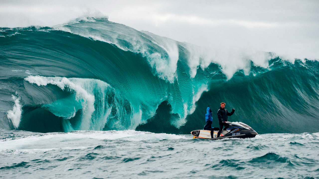 shipstern-bluff-tasmania