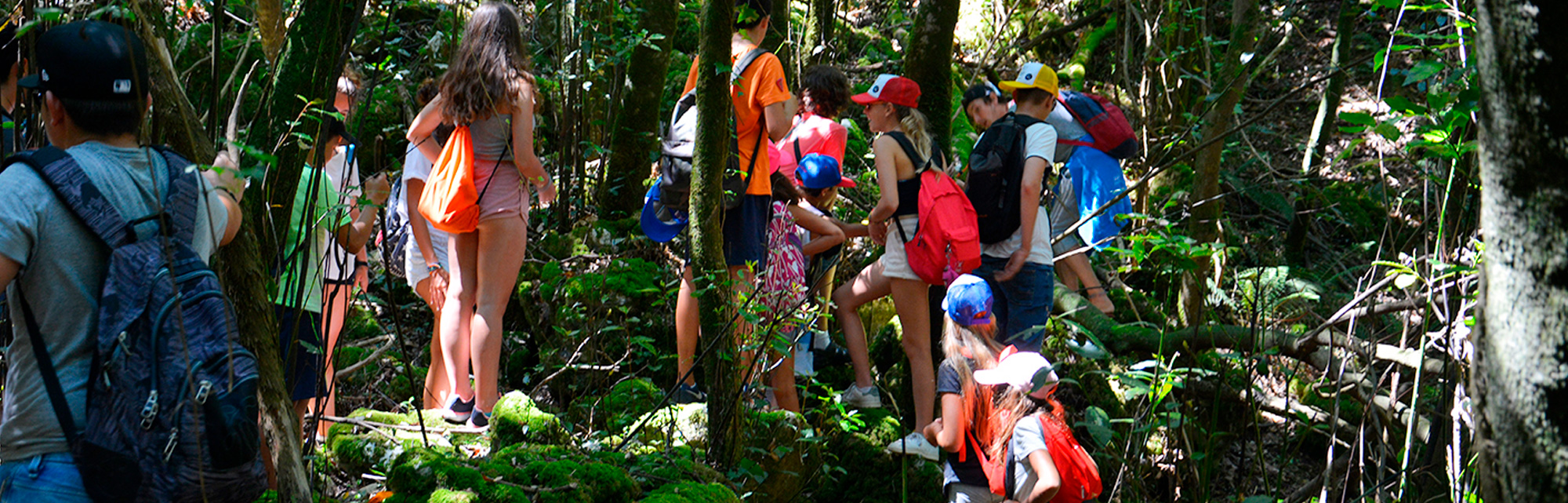 Actividades paralelas a los campamentos de surf