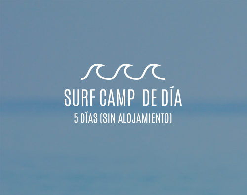 Campamentos de surf de día