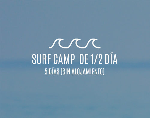 Campamentos de surf de medio día