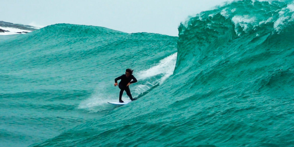 surf-comportamiento surf-comportamiento