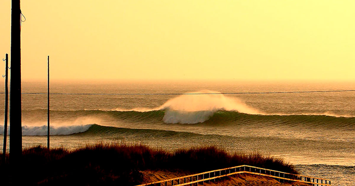 surf en doninos