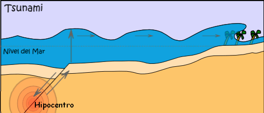 Cómo se forman las olas: Esquema_de_un_tsunami