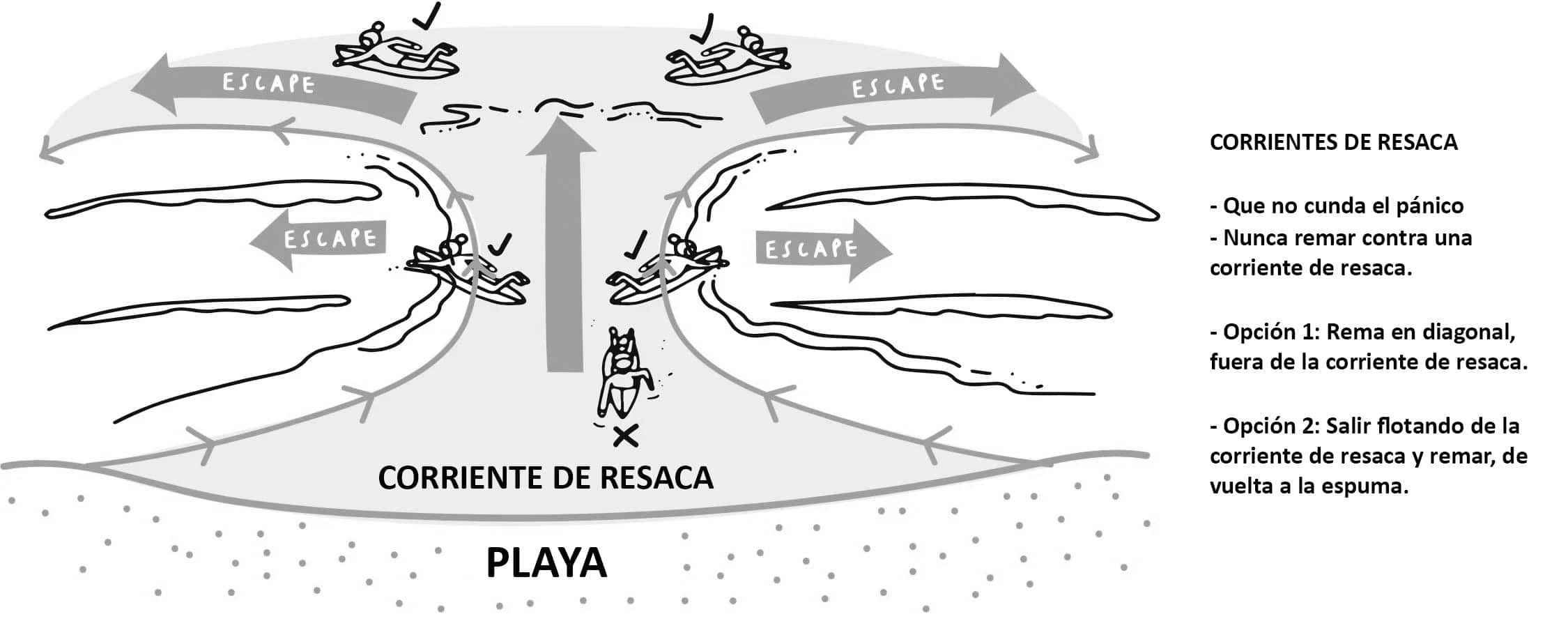 Seguridad en el surf: No remar nunca en contra de una corriente de resaca