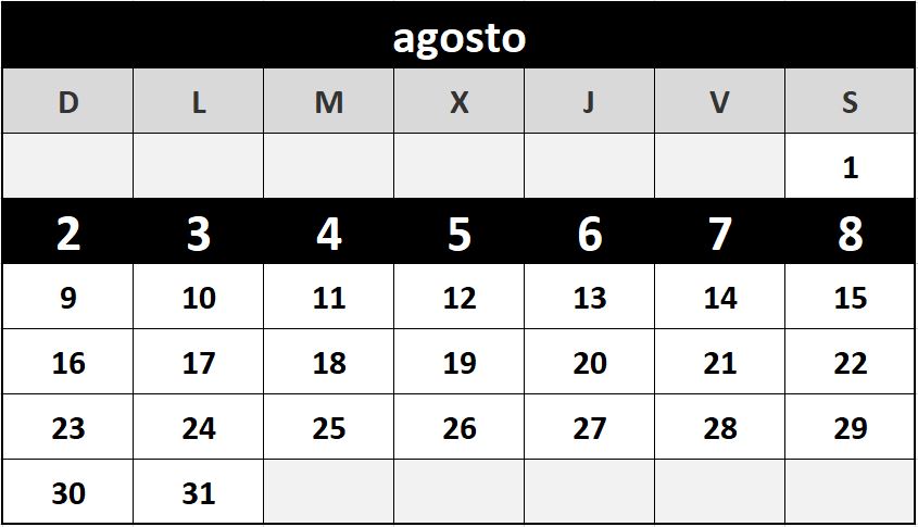 Surf Camp 7 - Menores del 2 al 8 de Agosto de 2026