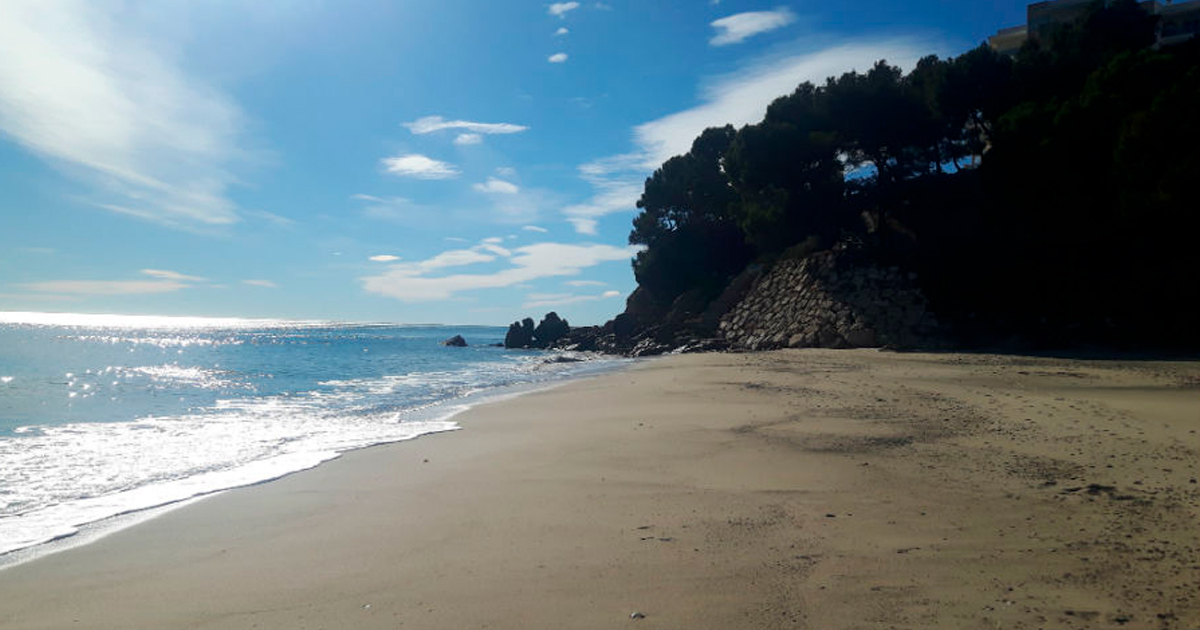 calafat-surf-en-barcelona