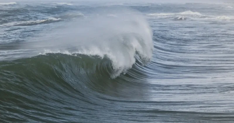 Cómo hacer un tubo en Surf, técnica y entrenamientos