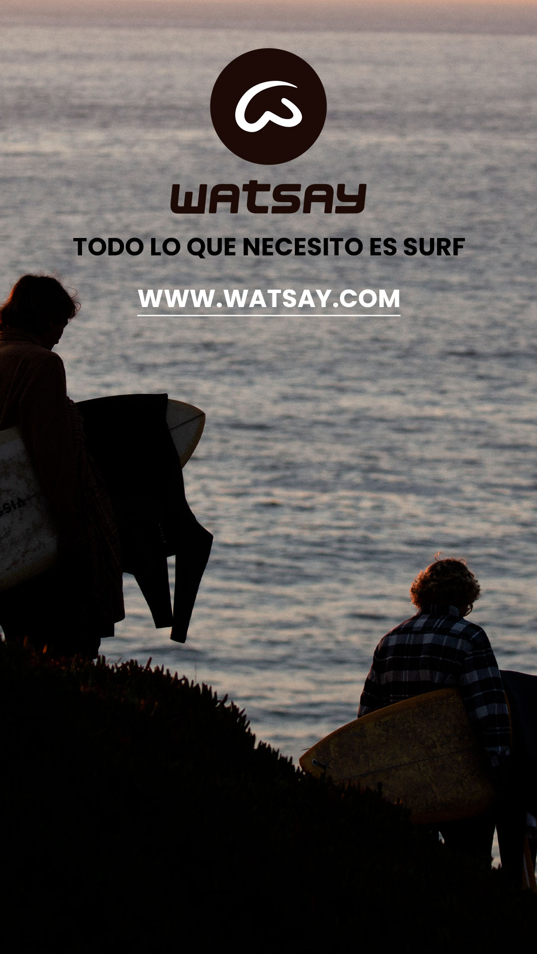 Surf shop online